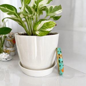 18K Gold Plated Turquoise Charming Adjustable Enamel Bracelet